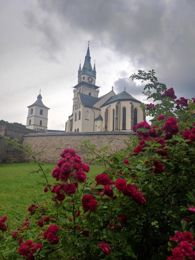 Апартаменты Krizkov Dom Кремница Экстерьер фото