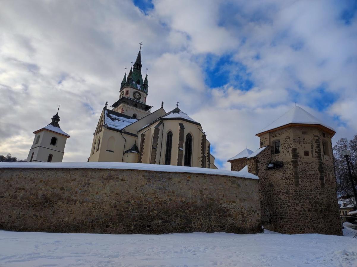 Апартаменты Krizkov Dom Кремница Экстерьер фото